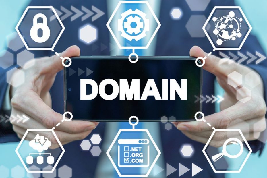 org domain